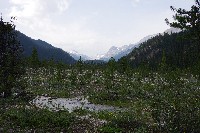 IMGP4657.JPG IMGP4657.JPG