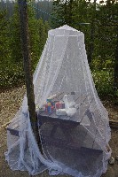 IMGP4659.JPG IMGP4659.JPG