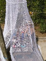 IMG_20180727_113244.jpg IMG_20180727_113244.jpg