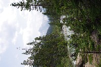 IMGP4634.JPG IMGP4634.JPG