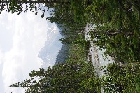 IMGP4635.JPG IMGP4635.JPG