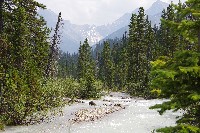 IMGP4637.JPG IMGP4637.JPG