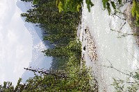 IMGP4638.JPG IMGP4638.JPG