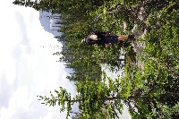 IMGP4640.JPG IMGP4640.JPG