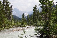 IMGP4641.JPG IMGP4641.JPG