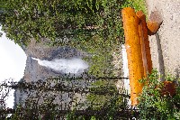 IMGP4643.JPG IMGP4643.JPG