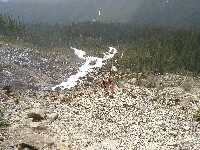 IMG_20180726_151749.jpg IMG_20180726_151749.jpg