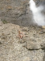 IMG_20180726_154043.jpg IMG_20180726_154043.jpg