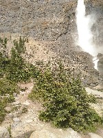 IMG_20180726_154613.jpg IMG_20180726_154613.jpg