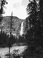 IMG_20180726_160308-EFFECTS.jpg IMG_20180726_160308-EFFECTS.jpg