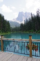 IMGP4697.JPG IMGP4697.JPG