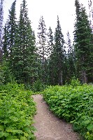 IMGP4702.JPG IMGP4702.JPG