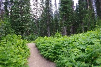 IMGP4703.JPG IMGP4703.JPG