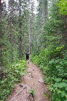 IMGP4704.JPG IMGP4704.JPG