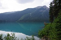 IMGP4721.JPG IMGP4721.JPG