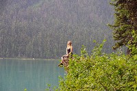 IMGP4723.JPG IMGP4723.JPG