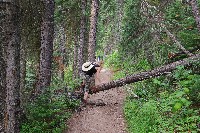 IMGP4726.JPG IMGP4726.JPG