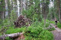 IMGP4728.JPG IMGP4728.JPG