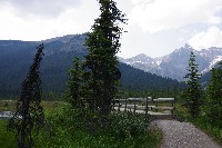 IMGP4732.JPG IMGP4732.JPG