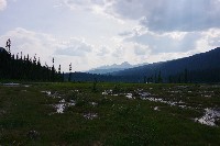 IMGP4735.JPG IMGP4735.JPG