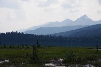 IMGP4737.JPG IMGP4737.JPG