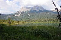 IMGP4768.JPG IMGP4768.JPG