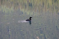 IMGP4778.JPG IMGP4778.JPG