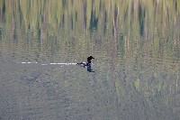 IMGP4779.JPG IMGP4779.JPG