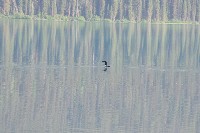 IMGP4780.JPG IMGP4780.JPG