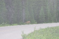 IMGP4788.JPG IMGP4788.JPG