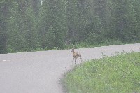 IMGP4789.JPG IMGP4789.JPG