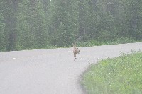 IMGP4790.JPG IMGP4790.JPG