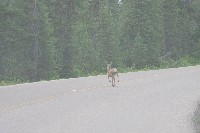 IMGP4791.JPG IMGP4791.JPG