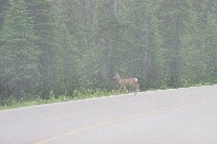 IMGP4792.JPG IMGP4792.JPG