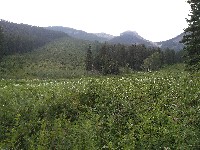 IMG_20180727_192514.jpg IMG_20180727_192514.jpg