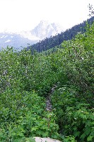 IMGP4764.JPG IMGP4764.JPG