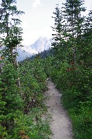 IMGP4765.JPG IMGP4765.JPG