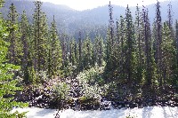 IMGP4795.JPG IMGP4795.JPG