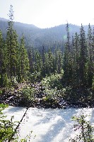 IMGP4796.JPG IMGP4796.JPG