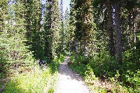 IMGP4797.JPG IMGP4797.JPG