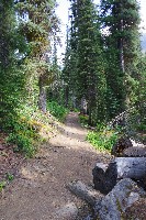 IMGP4798.JPG IMGP4798.JPG