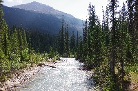 IMGP4806.JPG IMGP4806.JPG