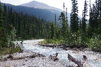 IMGP4808.JPG IMGP4808.JPG