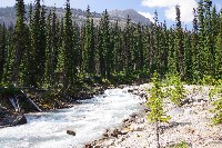 IMGP4831.JPG IMGP4831.JPG