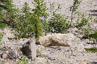 IMGP4833.JPG IMGP4833.JPG