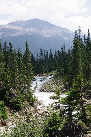 IMGP4845.JPG IMGP4845.JPG