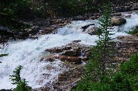 IMGP4854.JPG IMGP4854.JPG