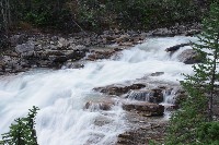 IMGP4860.JPG IMGP4860.JPG