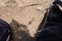 IMGP4862.JPG IMGP4862.JPG