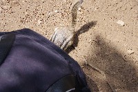 IMGP4863.JPG IMGP4863.JPG